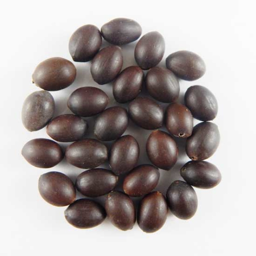 Picture of Perles de graines de lotus en vrac